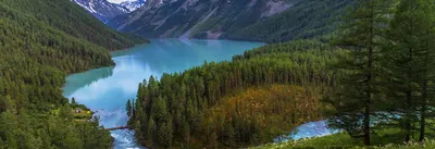 Аляска городское Talkeetna с посетителями лета Редакционное Стоковое Фото -  изображение насчитывающей зодчества, линия: 68949953