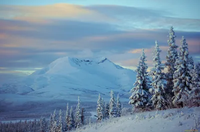 Winter Alaska · small group tours · Tripsider.com