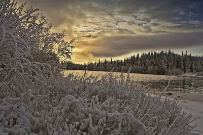 Аляска Горы Зима - Бесплатное фото на Pixabay - Pixabay