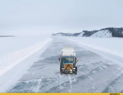 Розовые Облака На Закате С Пухлыми Облаками На Горизонте Зимой На Аляске  Снег И Ели На Переднем Плане. Фотография, картинки, изображения и  сток-фотография без роялти. Image 11910695