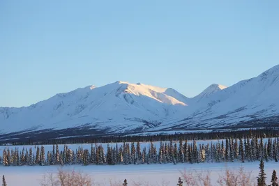 аляска Hwy Alcan поздняя зима юкон канада Стоковое Фото - изображение  насчитывающей хайвей, снежок: 224974562