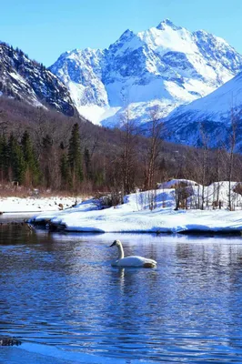 Фэрбанкс — Википедия