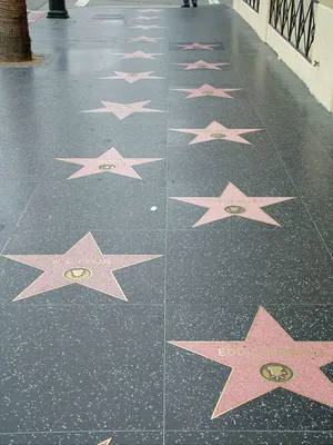 Прогулка по Голливудской Аллеи славы Hollywood Walk of Fame Los Angeles -  YouTube