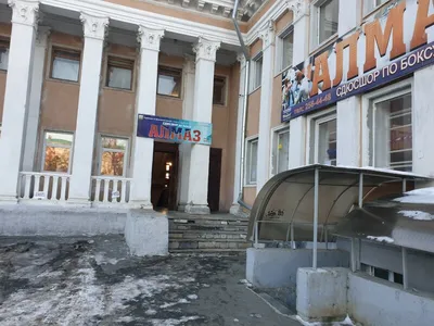 Зовут детей на «Игру в кальмара»: шапито с животными появился в Челябинске  возле «Алмаза» - KP.RU