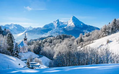 Германия :: лес :: страны :: альпы :: горы :: озеро :: Природа (красивые  фото природы: моря, озера, леса) / смешные картинки и другие приколы:  комиксы, гиф анимация, видео, лучший интеллектуальный юмор.