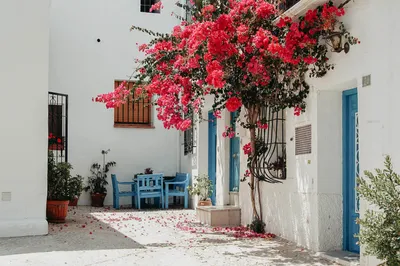 Things to do and see in Altea, Spain - Passporter Blog