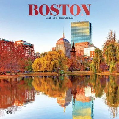 Boston cityscape reflected in water, skyscrapers and office buildings in  downtown, view from Boston harbor, Massachusetts, USA 4559365 Stock Photo  at Vecteezy