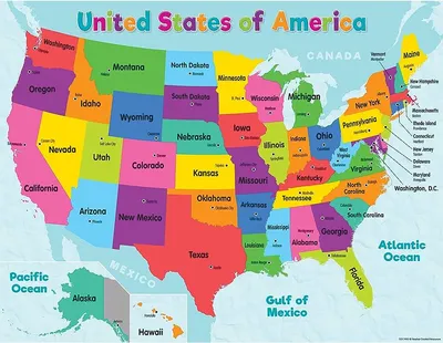 Amazon.com : Teacher Created Resources Colorful United States of America  Map Chart : Office Products