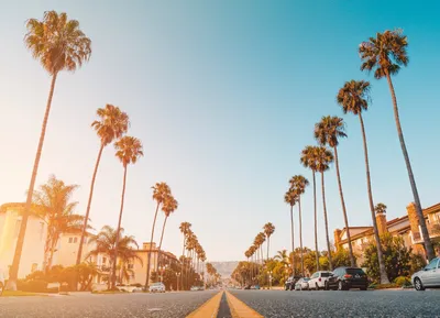 Лос-Анджелес, Калифорния, США горизонт центра города и пальмы в стоковое  фото ©chones 165797490