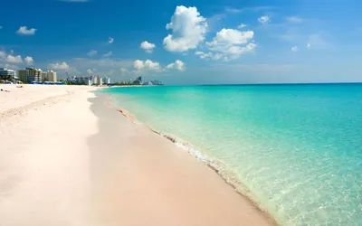 Collage about Miami, Florida, United States of America Stock Image - Image  of promenade, florida: 183979265