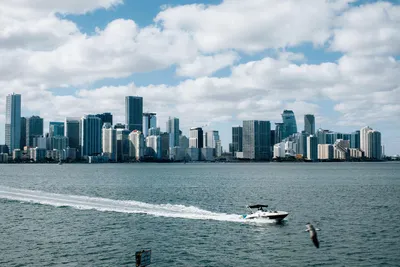 Cosmoprof North America Launching 2024 Miami Beach Edition