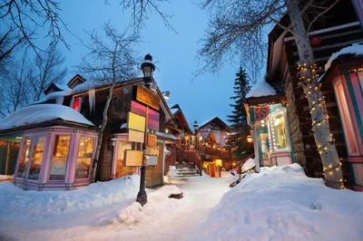 Национальные парки США зимой: как выбрать и к чему готовиться -  RijayaSonya.ru - Блог о самостоятельных и увлекательных путешествиях