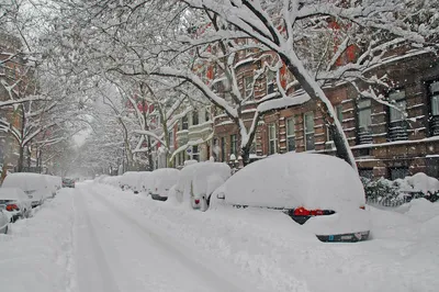 Снежные бури, ливни и рекордные морозы: жителей США ждет суровая и долгая  зима - ForumDaily