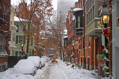 Какой будет эта зима в США: где и когда ждать снега - ForumDaily