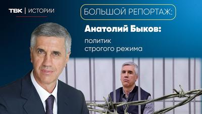 Верховный суд согласился с «фильтром» для Анатолия Быкова – Политика –  Коммерсантъ