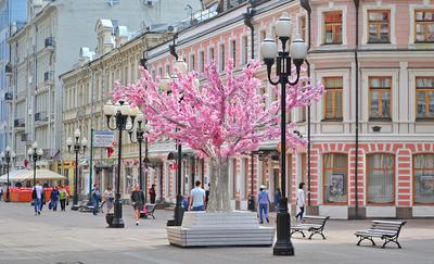 Экскурсии по Старому Арбату Москвы : 🗓 расписание, ₽ цены, купить 🎟  билеты онлайн