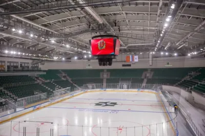 В Красноярске на «Платинум Арене» уменьшат размер хоккейной площадки |  СПОРТ | АиФ Красноярск