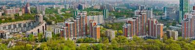 Синдром вахтёра или как снять квартиру без посредников в Москве | Пикабу