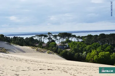 Визит-Франс - Аркашон: дюны, океан, устрицы, роскошь...... | Facebook