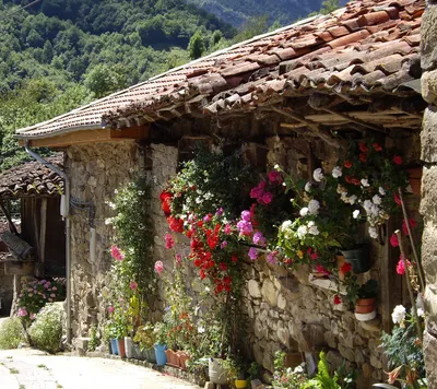 Лучшие идеи для отдыха в Астурии. Чем заняться и что посетить | spain.info