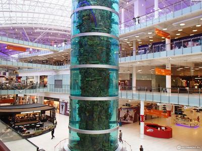 Торговый центр Aviapark, Москва, Россия Редакционное Изображение -  изображение насчитывающей покупка, мол: 54272660