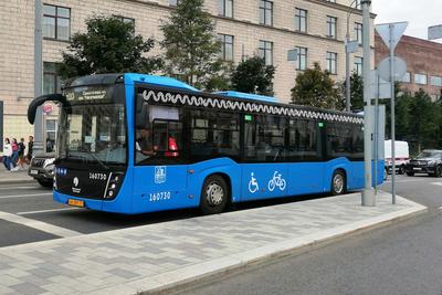 Автобусы КМ ушли с Замоскворецкой линии — подводим итоги | Пикабу