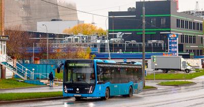 Коммерческие перевозчики подготовят 2 тысячи новых автобусов к выходу на  маршруты столицы - Единый Транспортный Портал