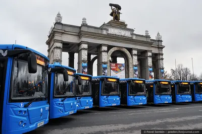 Более 500 новых автобусов запустили в Москве с начала года. Портал  «Открытый бюджет г. Москвы»
