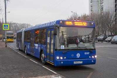 Город не засыпает: как работают ночные автобусы в Москве