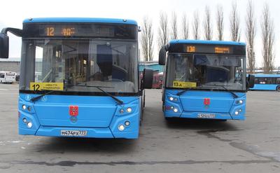 Почти шесть сотен: новые автобусы КАМАЗ дополнят парк ЛиАЗов в Москве —  Авторевю