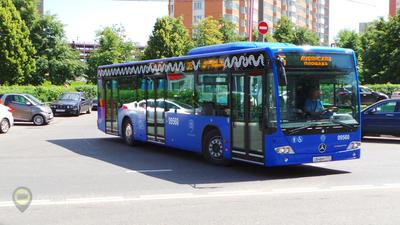 Новый автобус из Москвы в Геленджик запустят 23 июля - KP.RU