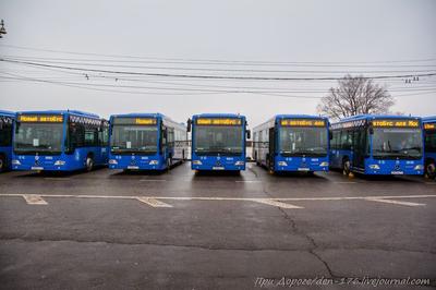 Плохая Москва: автобусы в центре — Teletype