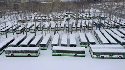 Тише, чище, быстрее: как электробусы за 5 лет «захватили» Москву  Автомобильный портал 5 Колесо