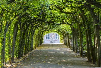 Эрмитаж Байройта (Hermitage Bayreuth) Бавария - фото, описание, адрес с  картой, отзывы, достопримечательноcти Германии