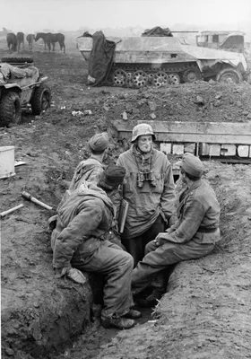 Солдаты дивизии «Великая Германия» на позициях на полуострове Бальга —  военное фото