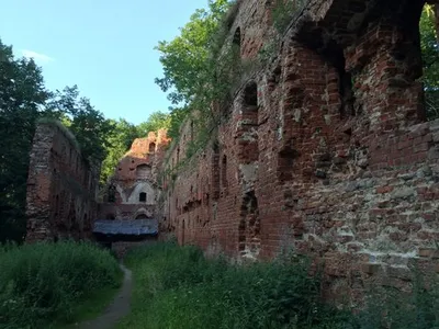 Бальга (ч.3/3): Исторический бумеранг или место, где немцы начали покорение  этой земли мечом, стало для них могилой. | ПОЗНАВАЯ ПРУССИЮ | Дзен