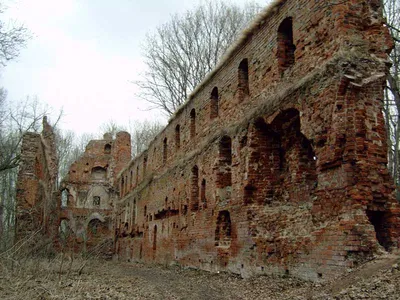 Руины замка Бальга планируют открыть для посетителей в апреле - Общество -  Афиша Калининграда - Новый Калининград.Ru
