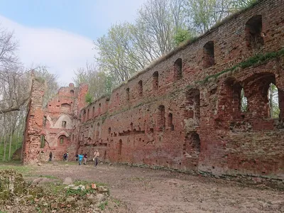 Живописные руины и романтический вид на залив: как теперь выглядит замок  Бальга - KP.RU