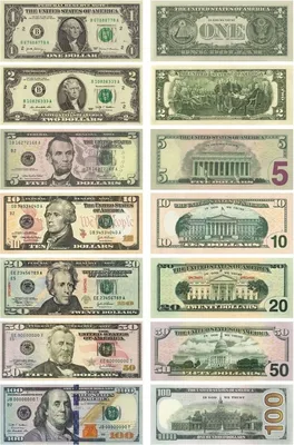 Банкноты США фото