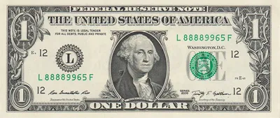 Доллары США и банкнота 100 долларов, перевязанная веревкой Stock Photo |  Adobe Stock