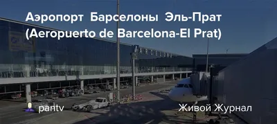 Советы по организации трансфера из аэропорта Барселоны в отель |  Shuttle2Sun | Transfer bus