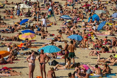 Пляж Барселонета, Барселона. Фото, веб-камеры, инфраструктура, отели,  видео, отзывы, как добраться – Туристер.Ру