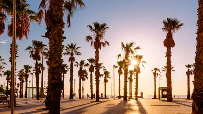 10 Best Beaches in Barcelona - What is the Most Popular Beach in Barcelona?  – Go Guides