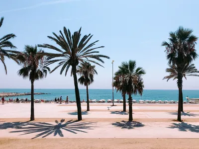 Барселона и Море - туры и гиды от City Trips