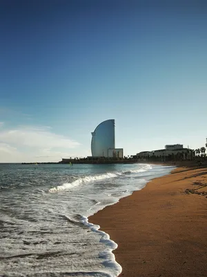 10 лучших отелей Барселоны у моря - Барселона10 - путеводитель по Барселоне