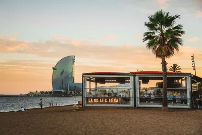 Nova Mar Bella Beach, Барселона: лучшие советы перед посещением -  Tripadvisor
