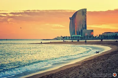 Barceloneta beach and W Hotel at the horizon. Barcelona, Catalonia, Spain  Stock Photo - Alamy