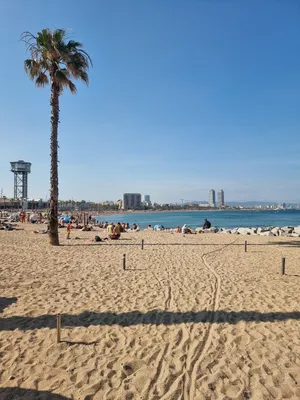 Blue Barcelona - Visit Barcelona