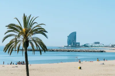 Barcelona beach and waterfront promenade hi-res stock photography and  images - Alamy