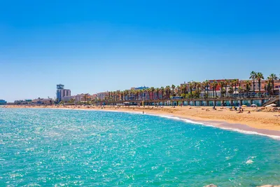 Battle of the Beaches: Barcelona vs. Valencia – Drexel Education Abroad